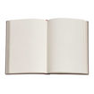 Picture of PAPERBLANKS MINI LINED JOURNAL BLUE VELVET